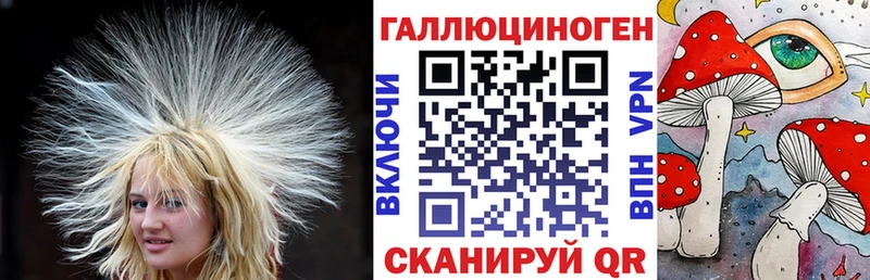как найти наркотики  Городец  Псилоцибиновые грибы Cubensis 