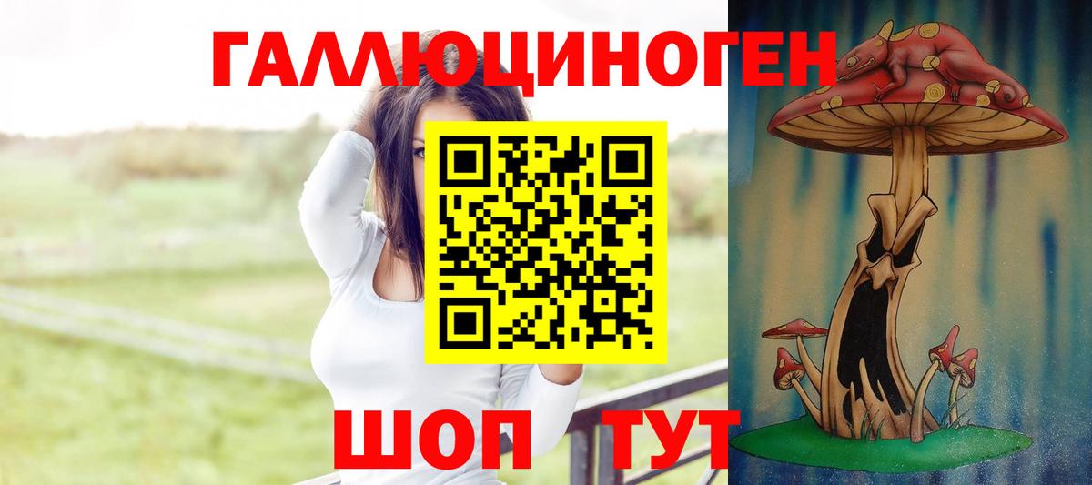 Городец  Галлюциногенные грибы прущие грибы  Галлюциногенные грибы Cubensis  Вход с VPN 