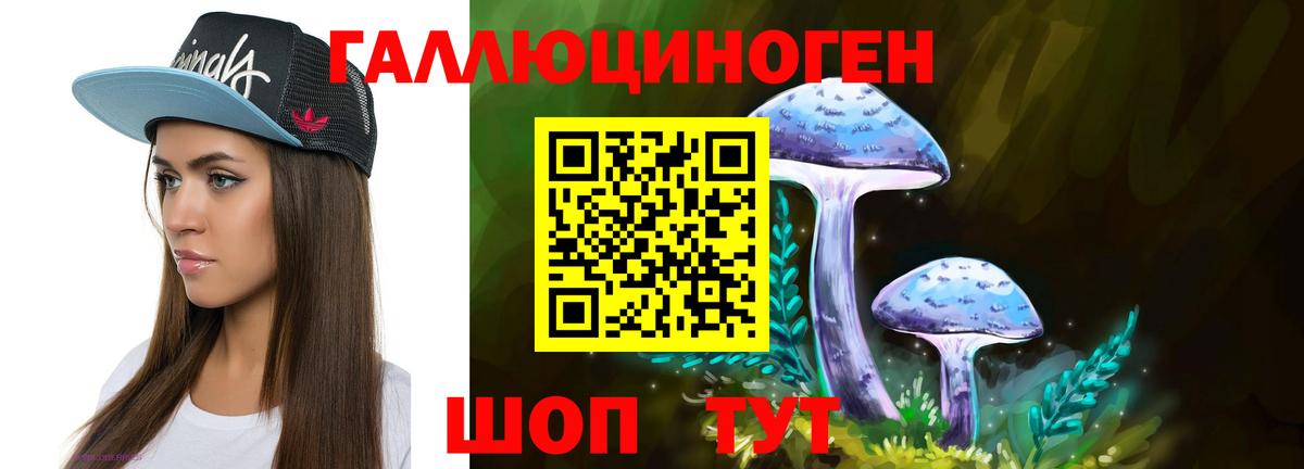 Псилоцибиновые грибы GOLDEN TEACHER Городец